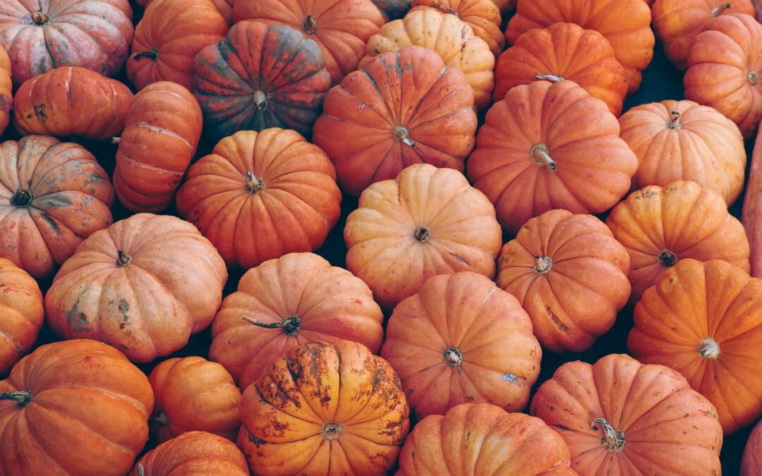 Temps libre d’Halloween Temps libre d’Halloween